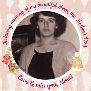 Meet your Posher, Rose